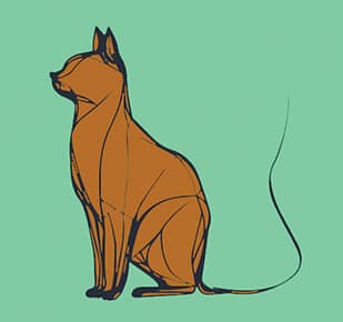 Ragge Design : esquisse de chat